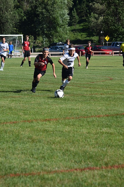 众掌声雷动 众掌声雷动