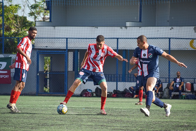 他未來發展 他未來發展